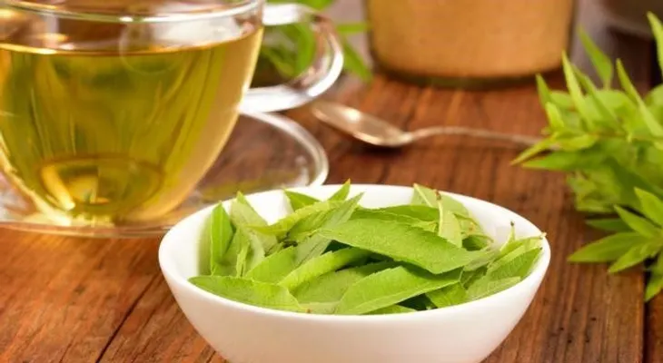 4 remedios naturales con verbena; baja la fiebre, proteger el hígado, para resfriados y gripes
