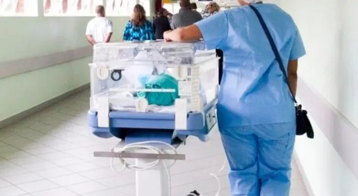 Canadá explica los riesgos de comer placentas humanas