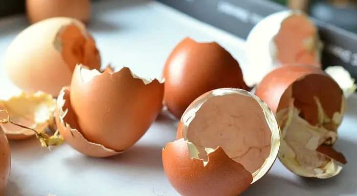 9 razones para no tirar NUNCA MÁS tus cáscaras de huevo
