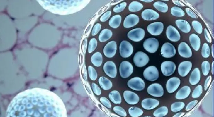 Este nanofármaco podría ser la solución a la obesidad y la diabetes