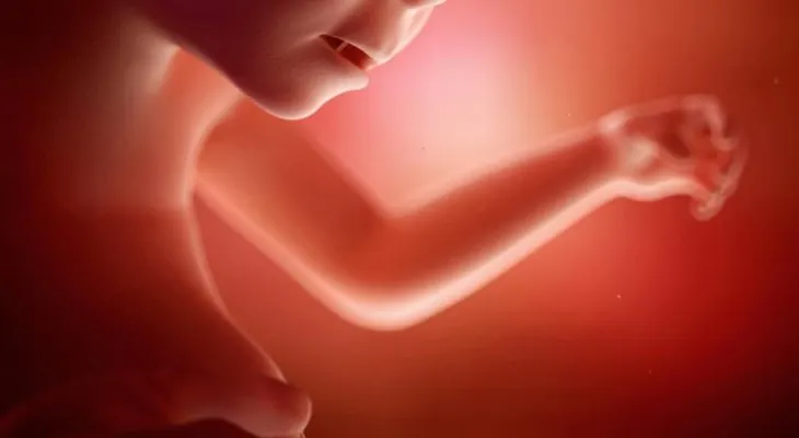 ¿Sabes qué siente un bebé con el orgasmo de su mamá? ¡Te sorprenderá la respuesta!