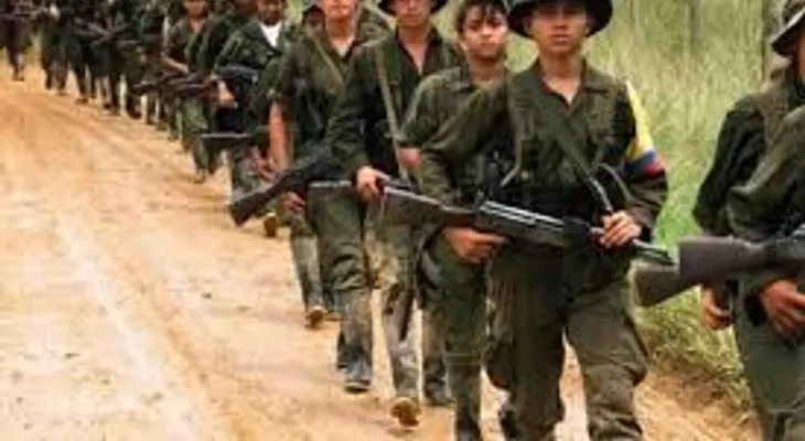 Colombia confisca 280.000 hectáreas a las FARC
