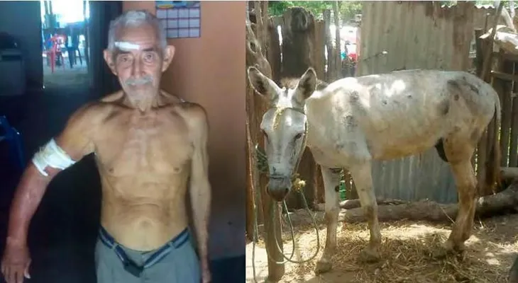 Un burro rabioso ataca a mordiscos a su dueño, Néstor Rafael Méndez, de 76 años