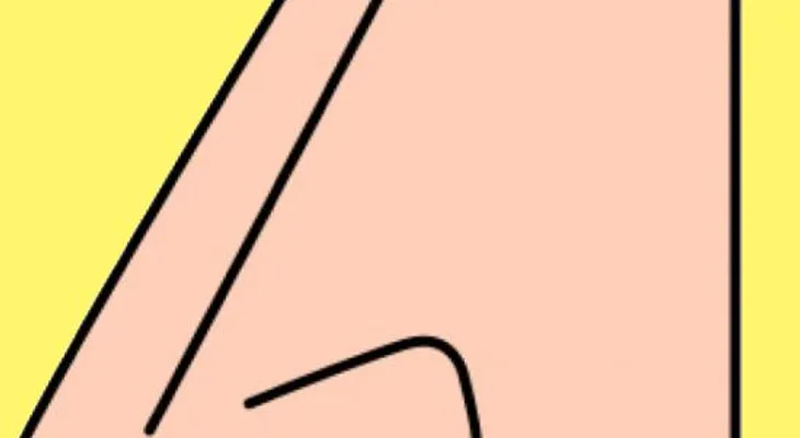 La forma de tu nariz puede guardar relación con tu carácter! «Está escrito en su cara?»