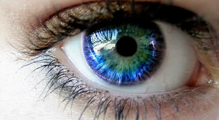 Así es como obtienen su color los ojos humanos, ¡simplemente increíble!