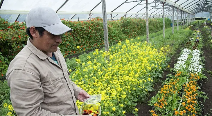 Las claves para impulsar al agro colombiano