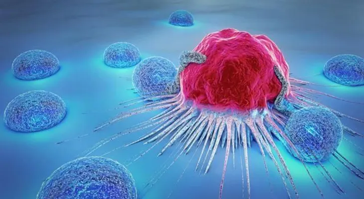 Descubren un anticuerpo (Petosemtamab) que previene la propagación del cáncer y la metástasis