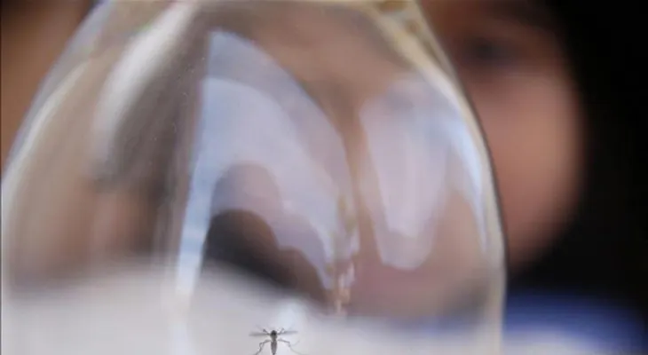 Detectan en Venezuela nuevos casos de síndrome neurológico vinculado con zika