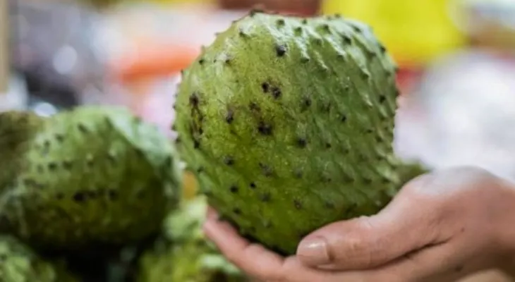 La guanábana: una fruta con altísimo poder antioxidante y antibacteriano