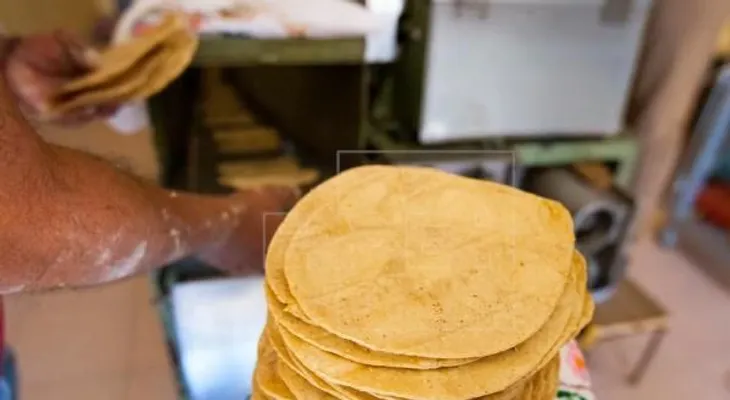 Científicos crean tortillas de cebada para combatir la diabetes y la obesidad
