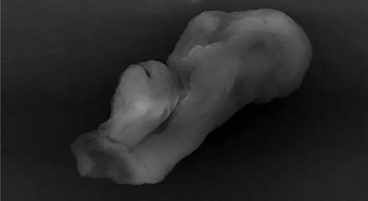 Científico del Reino Unido dice que esta imagen prueba existencia de extraterrestres          