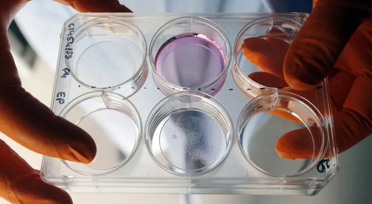 Una nueva enfermedad de transmisión sexual atemoriza 