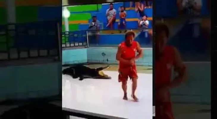 Un cocodrilo muerde el brazo de su entrenador y realiza un "giro mortal" (VIDEO)