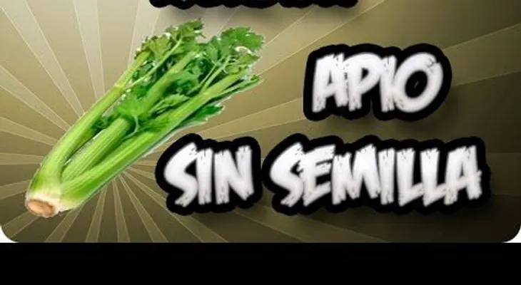 Cómo germinar el apio sin semilla  (Video)