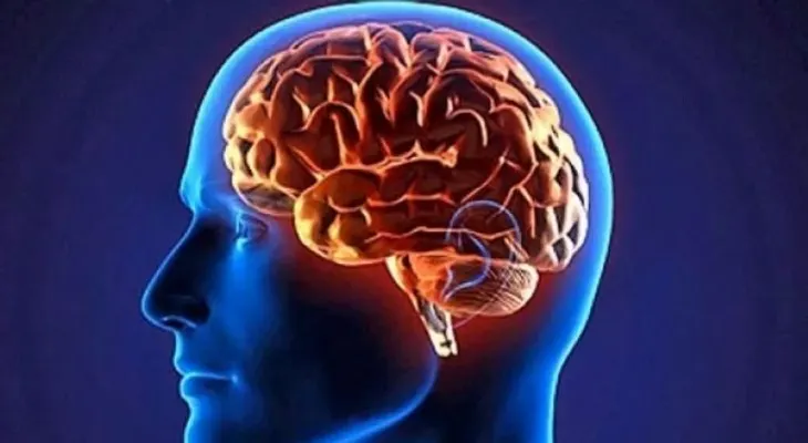 Estas son las claves para mantener el cerebro saludable toda la vida