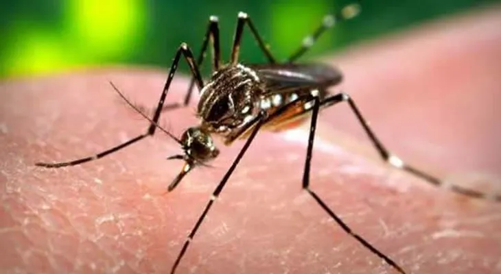 República Dominicana se acerca a 500 mil afectados de chikungunya