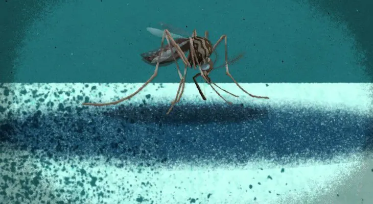 El alcance virus del Zika es "más alarmante de lo que pensamos inicialmente", advierten expertos
