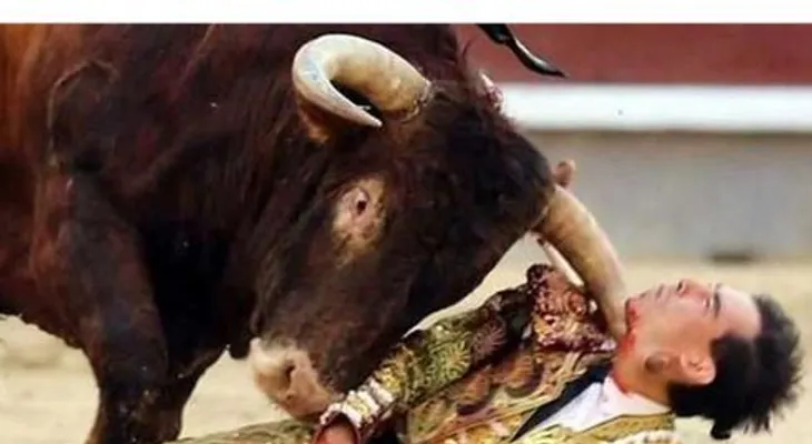 Impactante: Un toro atraviesa garganta de un matador en una corrida en Madrid
