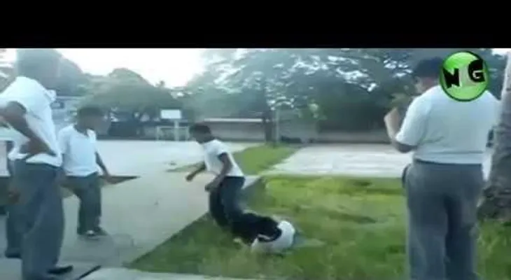 Video: Niños golpean y enjaulan a su compañero discapacitado en México 