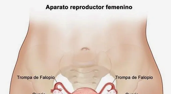  10 señales tempranas cáncer de ovario no debes ignorar  