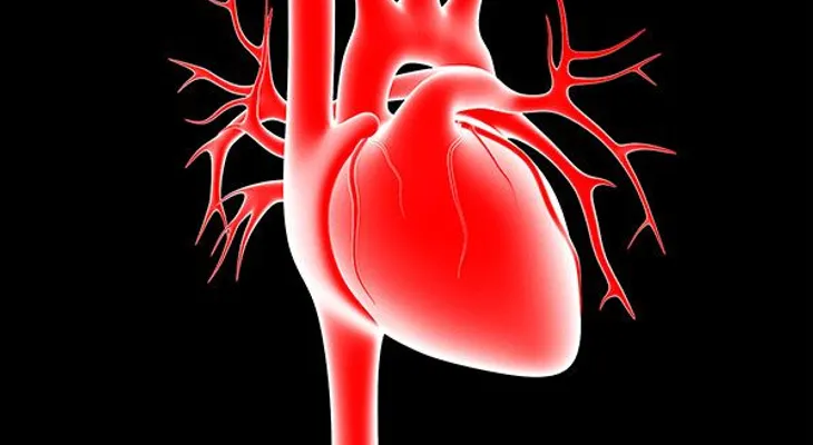 Incluso un pequeño exceso de peso puede aumentar la presión arterial.