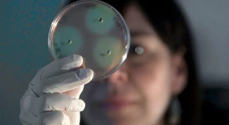  Identifican bacterias resistentes a los antibióticos 
