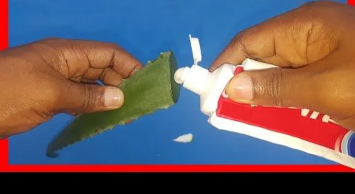 Me lo agradecerás TODA LA VIDA si mezcla pasta dental y sábila (aloe vera)