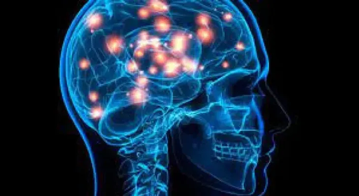 Investigan cómo el covid ingresa al cerebro y lo perjudica 