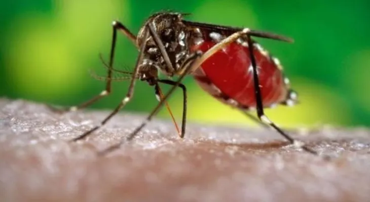 Confirman primer caso de Zika por vía sexual de mujer a hombre