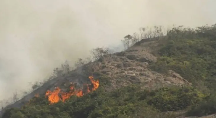 Partido MODA reclama al Gobierno informe de causas incendios forestales 