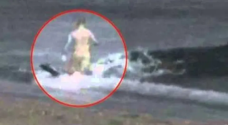 Video: Hombre es comido por un tibúron en vivo