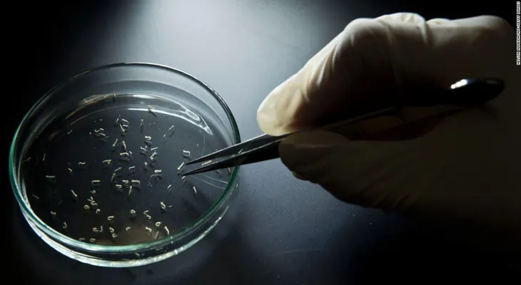 Rusia reporta el primer caso del virus del Zika