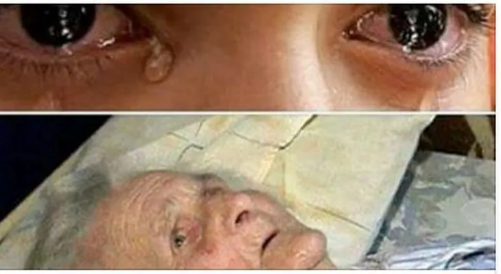 Su madre estaba muriendo en el asilo y su última petición fue ver a su hijo para decirle esto. No aguanté las lágrimas!