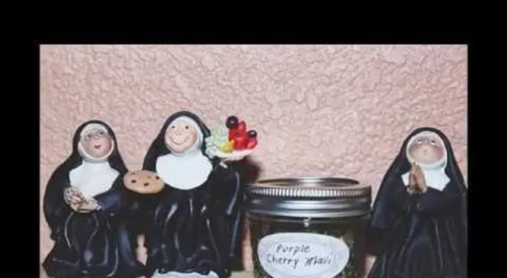 Monjas cultivan marihuana para venderlo por Internet (VIDEO)