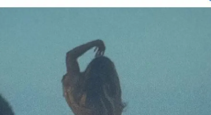 Beyoncé se desnuda y enciende las redes 