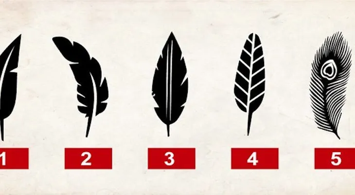 Descubre tu personalidad según la pluma que más te guste 