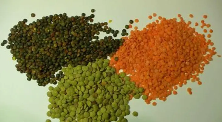 5 alimentos para tu cerebro