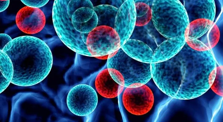 Identifican una nueva diana terapéutica para tratar la leucemia mieloide aguda