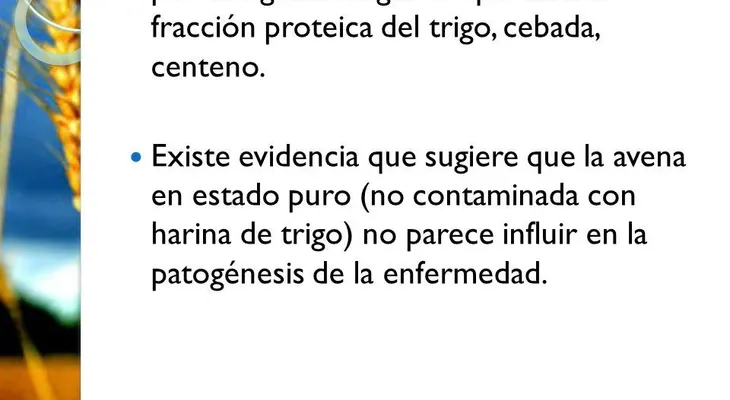 La ingesta de gluten lesiona el revestimiento del intestino delgado