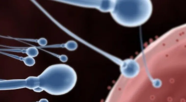 El trabajo físico y la hipertensión reducen fertilidad masculina