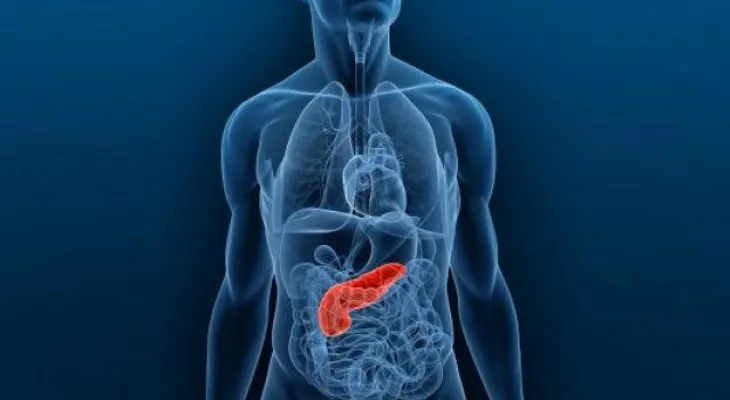 Hallan una proteína que frena cáncer de páncreas