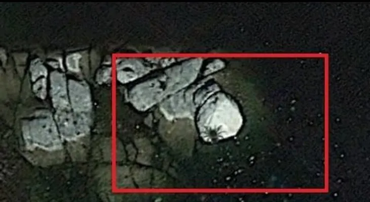 Localizan una "araña" del tamaño de un autobús (VIDEO)