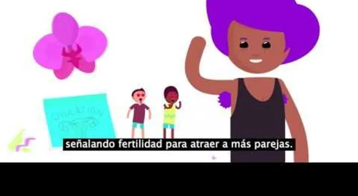 ¿Por qué Usted nunca debe afeitar sus vellos púbicos? Tiene una razón lógica (VIDEO)