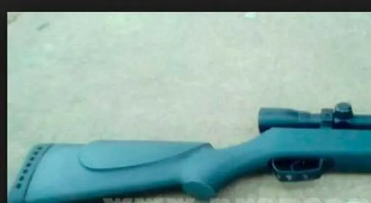 Venden rifles en NY a menores con permisos de caza según denuncia  