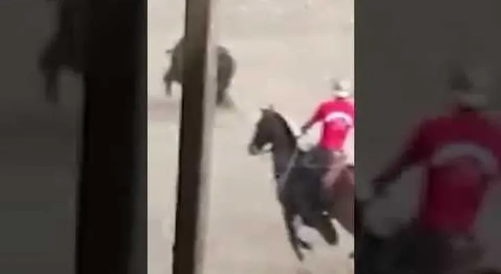 FUERTES IMÁGENES (18+): Un toro cornea, arrastra y mata joven durante fiesta en Colombia