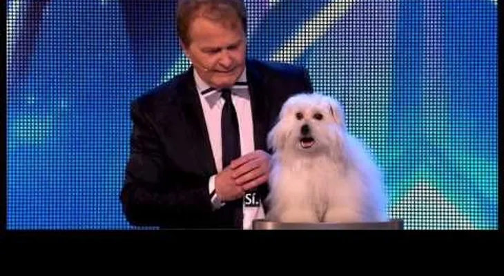 Una adorable perrita con un "talento" inusual (Video)