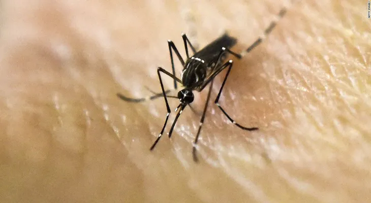 Países latinoamericanos buscan una respuesta conjunta al virus del Zika