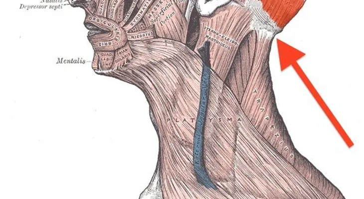 Un método chino mejora el bienestar de forma casi milagrosa