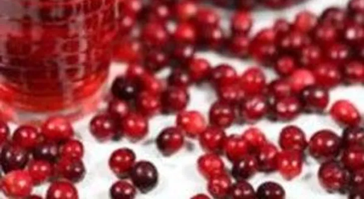 Cinco razones para incorporar cranberry a tu alimentación diaria