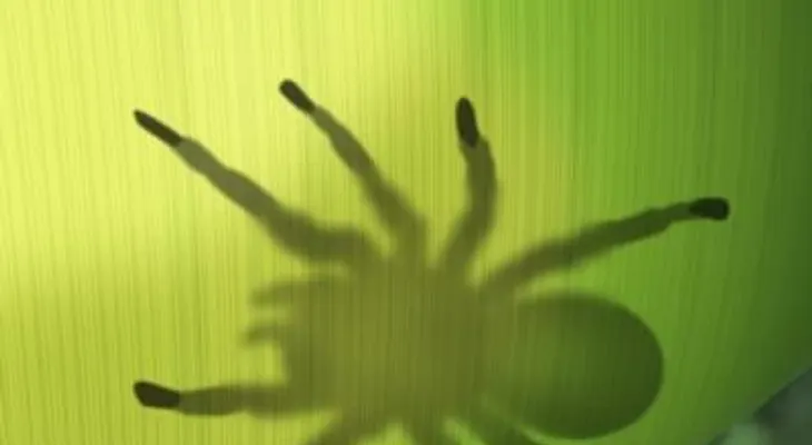 Veneno de tarántula como analgésico